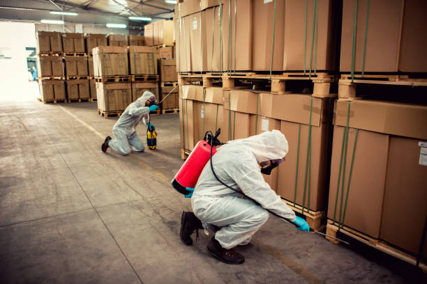 Best Bed Bug Extermination  in Argyle, TX