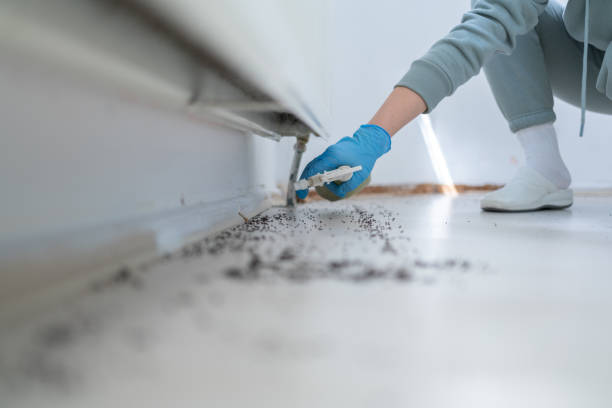 Best Commercial Pest Control Services  in Argyle, TX