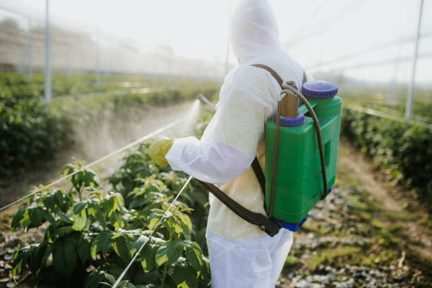 Argyle, TX Pest Control Company